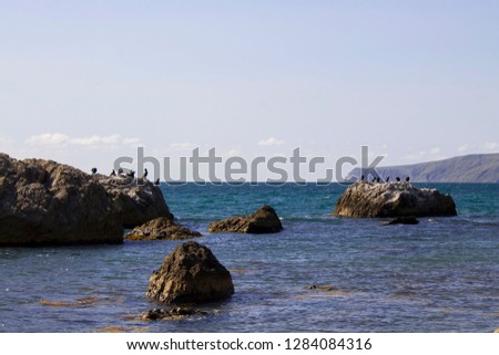 sea sun beach mountain Crimea hill