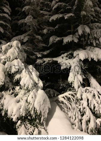 Snow covered trees and pathways in the Whistler and Black Comb Mountain in British Columbia Canada.