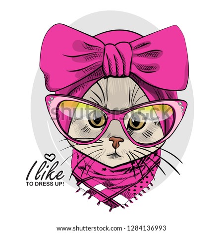 Vector cat with glasses, pink headscarf and scarf. Hand drawn illustration of dressed kitten.
