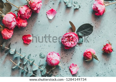 Top view on pink roses on a grey concrete background. The concept of spring and Valentines day, flat lay.