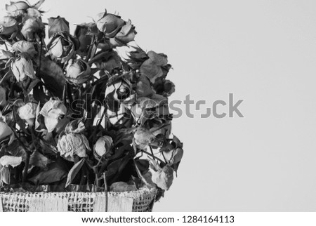 Black and white photo of a bouquet of fading flowers on a light background. Right space for text.