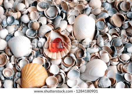 Sea white, yellow shells. Texture. Heart in the shell. Concept: rest, romantic trip, tourist business.