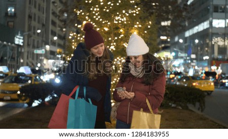 Christmas Shopping in New York a wonderful experience for women