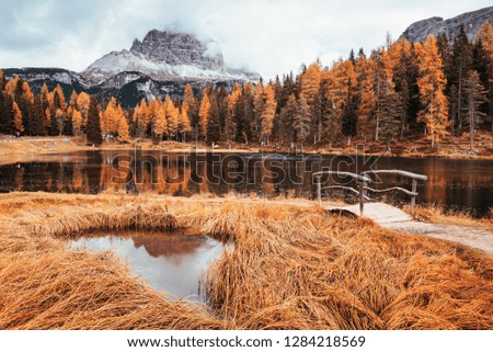 All trees is yellow colored. Amazing view of majestic mountains with woods in front of them at autumn day. Puddle that goes from the lake with little bridge.