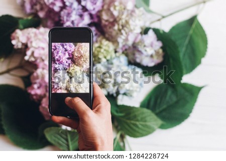 Hand holding phone and taking photo of hydrangea flowers on rustic white wood, flat lay. Content for social media concept, blogging photos. Happy mothers day. Space for text