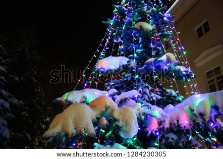 Christmas tree in the Park at night. Christmas lighting