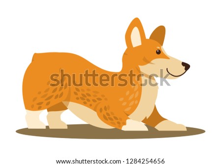 Dog of playful mood, icon of domestic pet ready to play with someone, canine looking in distance raster illustration isolated on white background