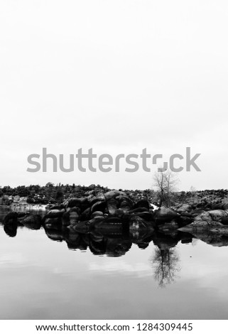 Black and white photo of a barren tree and its reflection on the edge of snowy Watson Lake near Prescott, Arizona. Royalty-Free Stock Photo #1284309445