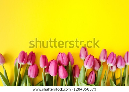Fresh Pink tulips. A bouquet of spring flowers on a yellow background Beautiful greeting card. Spring Holidays concept. Copy space. Banner Royalty-Free Stock Photo #1284358573
