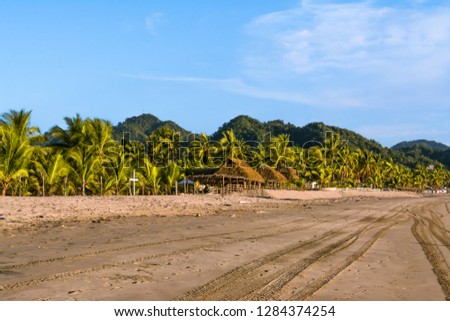 Boquita beach with its palm trees and mountains.