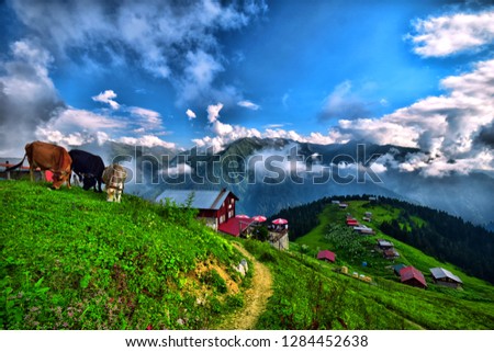 Kaçkar Mountains. Beautiful highland landscape. Peak, high. Pokut Plateau Royalty-Free Stock Photo #1284452638