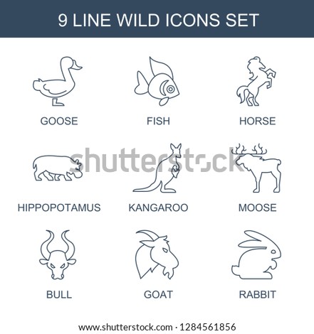9 wild icons. Trendy wild icons white background. Included line icons such as goose, fish, horse, hippopotamus, kangaroo, moose, bull, goat, rabbit. wild icon for web and mobile.