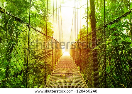 Picture of Arenal Hanging Bridges Ecological reserve, natural rainforest park, La Fortuna de San Carlos city, Costa Rica, Central America, footbridge in jungle, travel and tourism concept Royalty-Free Stock Photo #128460248