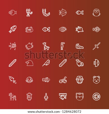 Editable 36 fauna icons for web and mobile. Set of fauna included icons line Fish, Tiger, Parrot, Polar bear, Gorilla, Bird, Clown fish, Sea lion, Orca, Caterpillar, Raven on red
