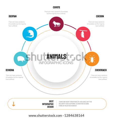 Abstract infographics of animals template. Echidna, Desman, Coyote, Cocoon, Cockroach icons can be used for workflow layout, diagram, business step options, banner, web design.