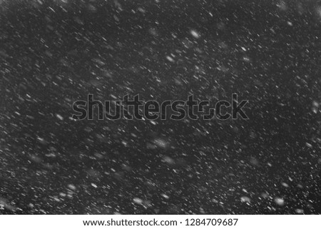Falling real snowflakes, heavy snow, shot on a black background, frosted, wide-angle, insulated, ideal for digital composition, post-production.