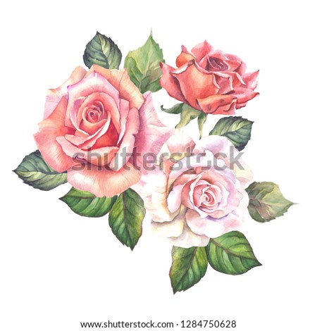 cute roses bouquet with leaves.watercolor