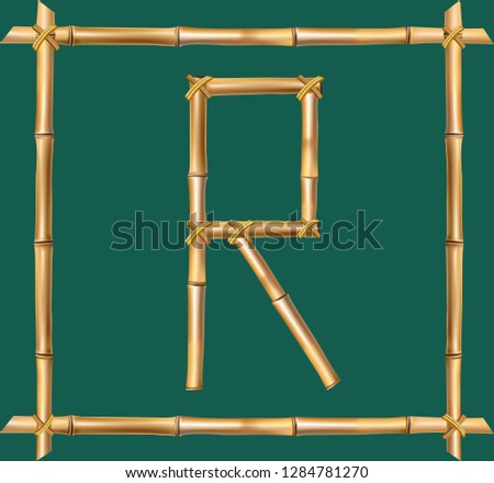 Vector bamboo alphabet. Capital letter R made of realistic brown dry bamboo poles inside of wooden stick frame isolated on green background. Abc concept for creating words, text, advertising, message.