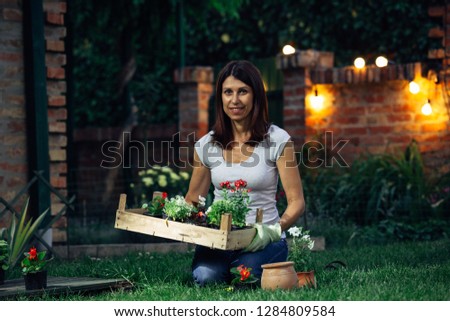 senior woman holding crate full of seedlings in her garden. evening scene