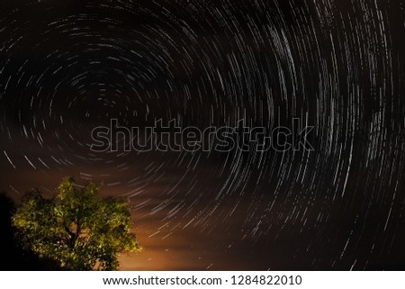 Star trail with illuminated tree over dark night sky full of stars