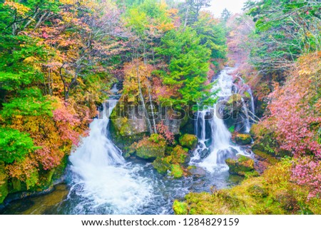 Beautiful waterfall in Autumn forest of Japan