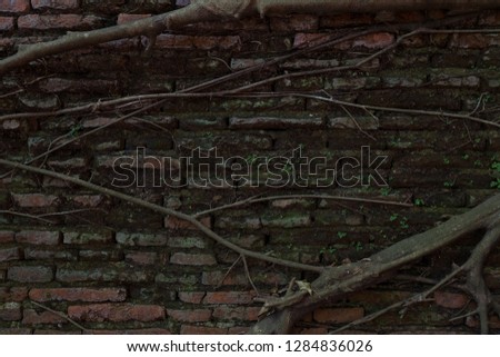 brick wall in archaeological site