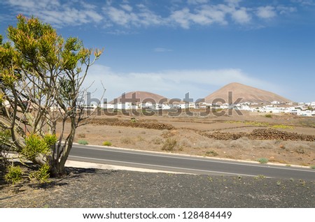 Tropical landscape on Lanzarote island