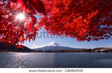 Mt Fuji in autumn view from lake Kawaguchiko Japan