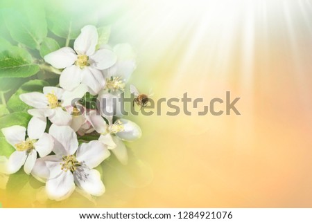 Bee with flower on green spring background. Space for text