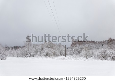 Beautiful winter forest with fir trees and deciduous trees on the background of a snow-covered field. Russia, January, 2019