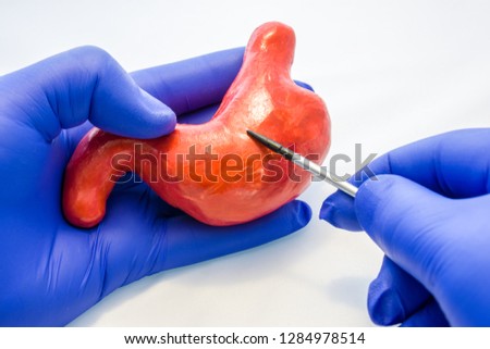 Doctor, scientist or biologist holding stomach shape with other hand pointing to it using pointers. Photos idea of anatomy, gastroenterology, diseases and pathologies of gastrointestinal tract Royalty-Free Stock Photo #1284978514