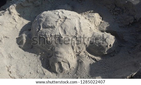 Sand art of tortoise