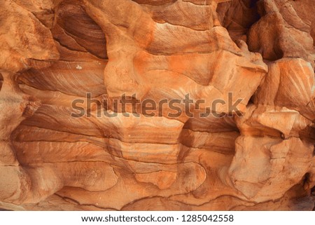 Stone wall relief natural stone, sand dunes seabed, relief similar to wood core, close-up, empty, without people,