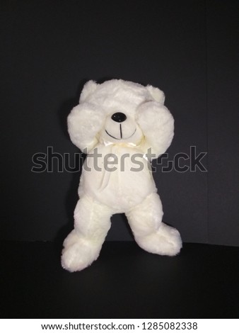 teddy bear posing in front of camera
