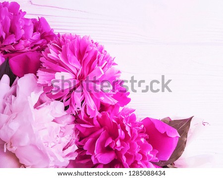 beautiful blooming peony on wooden background
