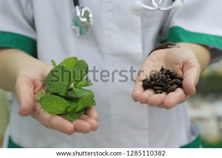 leaves of meant and coffee beans in the hands of a doctor