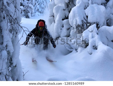 Freeride skiing in virgin snowy country