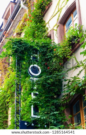 picturesque picture of a vine-clad hotel sign at a hotel building