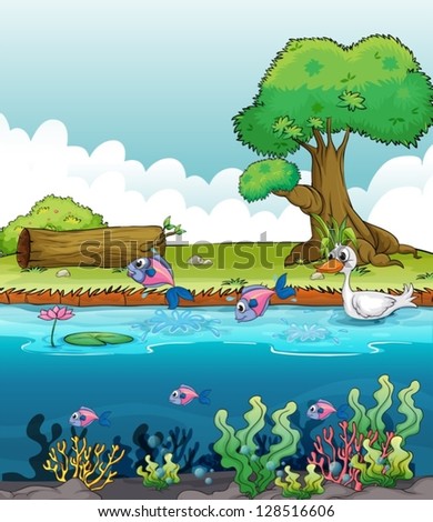 Illustration of sea creatures with a duck