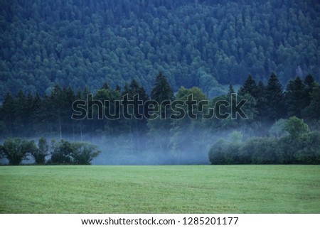 forest, trees, landscape Royalty-Free Stock Photo #1285201177