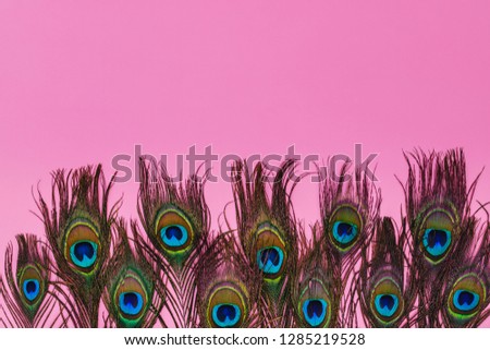 Carnival shiny background with colorful peacock feathers on pink paper, copy space, text place