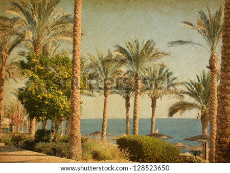 Retro image of  beach    with date Palms amid the blue sea and  sky.  Paper texture