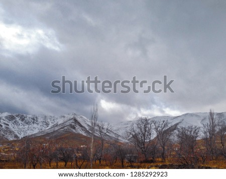 trees and mountains and clouds in one picture