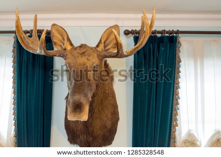 The head of an elk on the wall. Hunting trafey