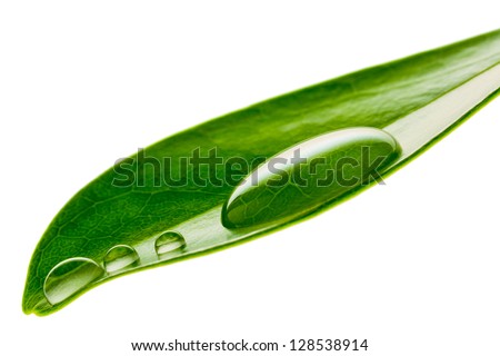 Beautiful water drop on a leaf shoot in macro lens Royalty-Free Stock Photo #128538914
