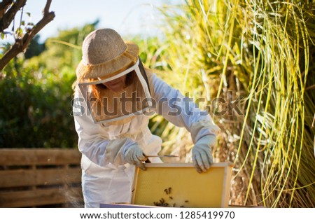 Mid adult woman in bee keeper's clothing lifting up part of a bee hive.