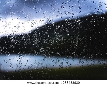 Rainy days in New Zealand. This photo was taken near Rotorua by a lake. 