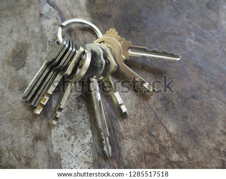 
key chain, put many keys