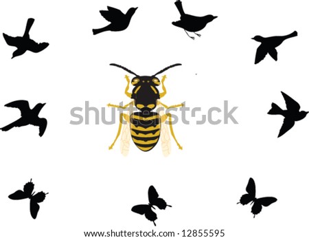 Birds Bees & Butterflies
