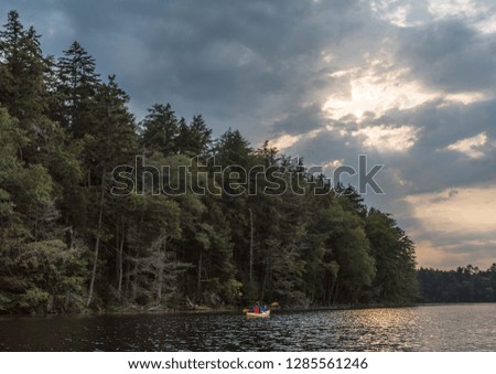 a woman in a red life vest paddles alongside a beautiful forest 